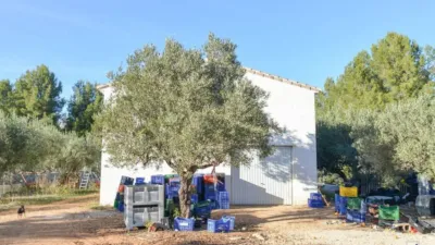 Casa – Parcent, la Marina Alta - Vista 4