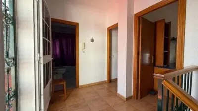 Chalet in Barbate photo 17