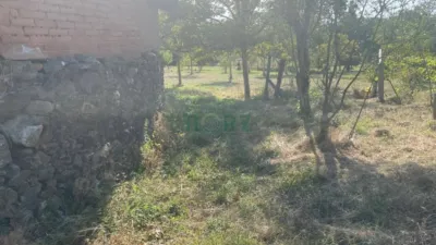 House in A Abelleira (Celanova) photo 2