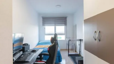 Apartment in San José de la Vega photo 25