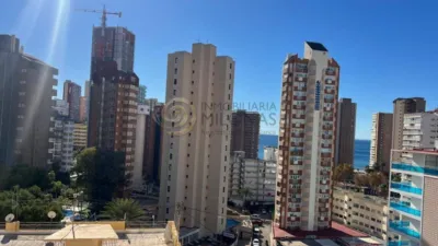 Pis – Benidorm - Vista 3