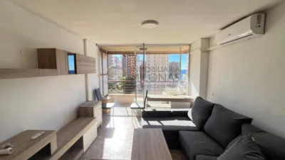 Pis – Benidorm - Vista 5