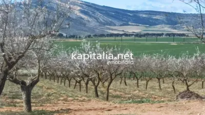 Terreno en venta en Villena - Vista 3