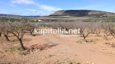 Terreno en venta en Villena - Vista 4