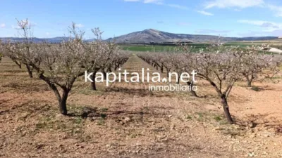 Terreno en venta en Villena - Vista 5