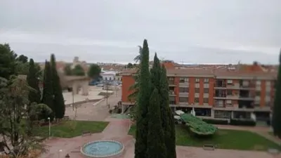 Miniatura 7