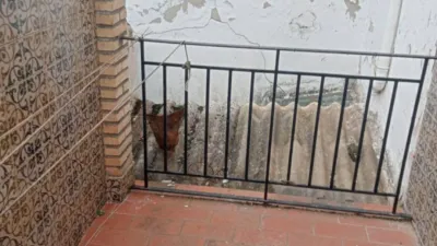 Casa en Archidona photo 13