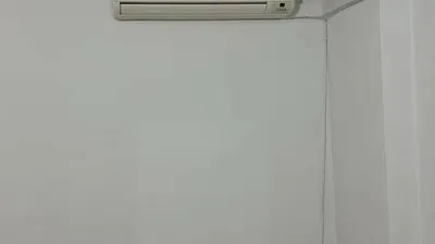 Miniatura 10