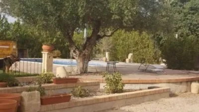 Chalet in Castalla photo 25