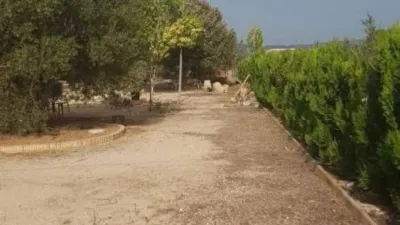 Chalet in Castalla photo 47
