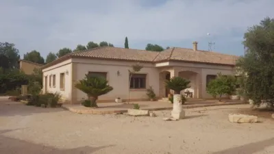 Chalet in Castalla photo 50