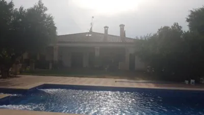 Chalet in Castalla photo 59