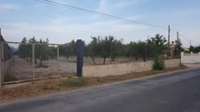 Chalet in Castalla photo 70