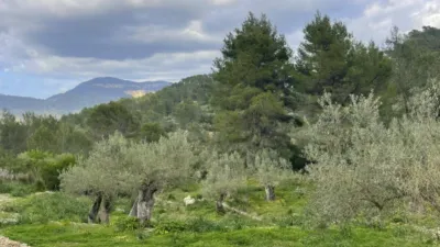 Chalet en venta en Galilea, Galilea de 670.000 €