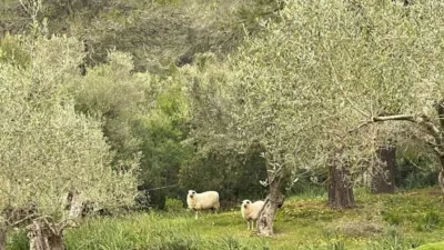 Chalet en venta en Galilea, Galilea de 670.000 €