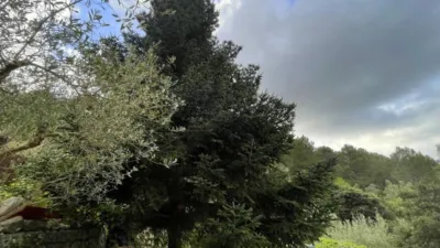 Chalet en venta en Galilea, Galilea de 670.000 €