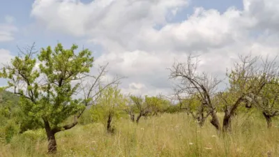Terreno en venta en Xaló - Vista 2