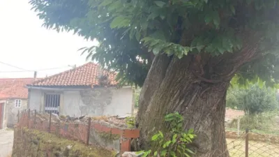 Rustic house in Portela (Rodeiro) photo 18