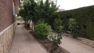 Chalet in Castalla photo 19