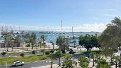 Apartment on Avinguda de Gabriel Roca photo 3