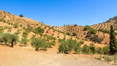Rustic property in Álora photo 41