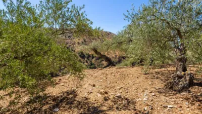 Rustic property in Álora photo 43