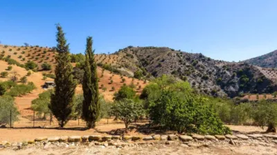 Rustic property in Álora photo 45