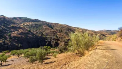 Rustic property in Álora photo 49