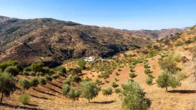 Rustic property in Álora photo 59