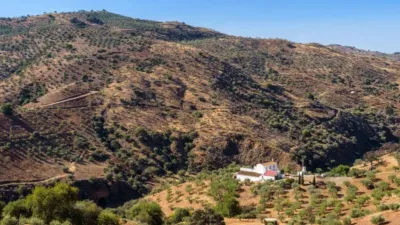 Rustic property in Álora photo 60