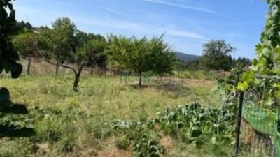 House in Corzos (Maside) photo 16