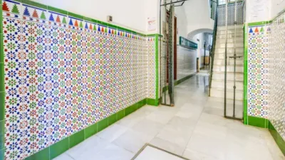 Apartment in San Vicente photo 21