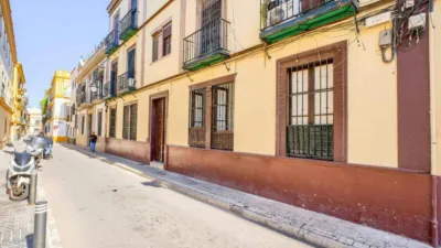 Apartment in San Vicente photo 2