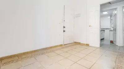 Apartment in San Vicente photo 3