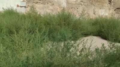 Terreno en venta en Callosa de Segura - Vista 2