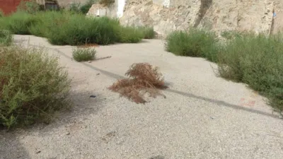 Terreno en venta en Callosa de Segura - Vista 3