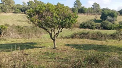 Casa rústica en venta en Calle Plaza Diseminado Diseminados Ss, 75, Son Servera de 130.000 €