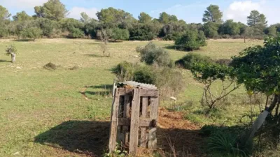 Casa rústica en venta en Calle Plaza Diseminado Diseminados Ss, 75, Son Servera de 130.000 €