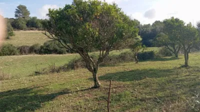 Casa rústica en venta en Calle Plaza Diseminado Diseminados Ss, 75, Son Servera de 130.000 €