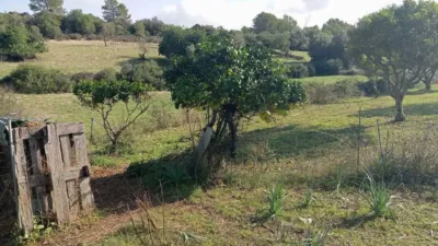 Casa rústica en venta en Calle Plaza Diseminado Diseminados Ss, 75, Son Servera de 130.000 €