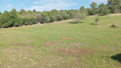 Casa rústica en venta en Calle Plaza Diseminado Diseminados Ss, 75, Son Servera de 130.000 €