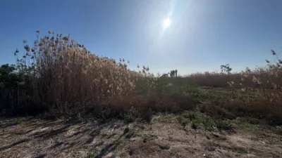 Terreno en venta en Matola-La Foia-Las Bayas-La Marina - Vista 2
