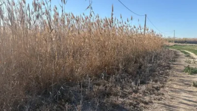 Terreno en venta en Matola-La Foia-Las Bayas-La Marina - Vista 4