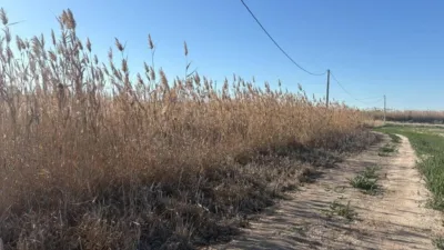 Terreno en venta en Matola-La Foia-Las Bayas-La Marina - Vista 5