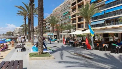 Apartment in Playa del Cura photo 24