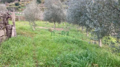 House in Cenlle photo 10