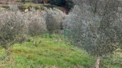 House in Cenlle photo 6