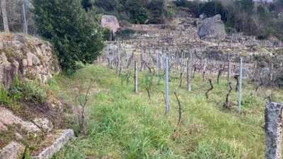 House in Cenlle photo 7