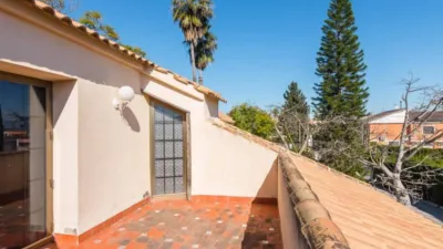 House in Los Dolores photo 12