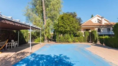 House in Los Dolores photo 2